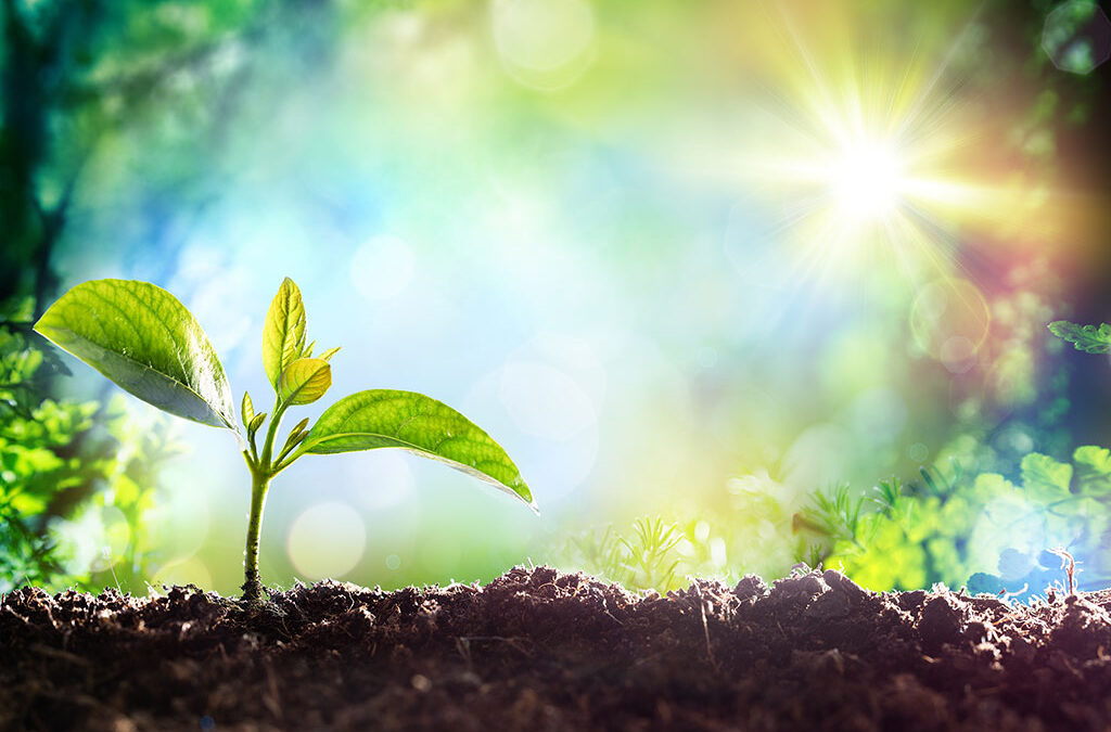 Restorative Approach Online Course